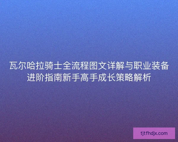 瓦尔哈拉骑士全流程图文详解与职业装备进阶指南新手高手成长策略解析