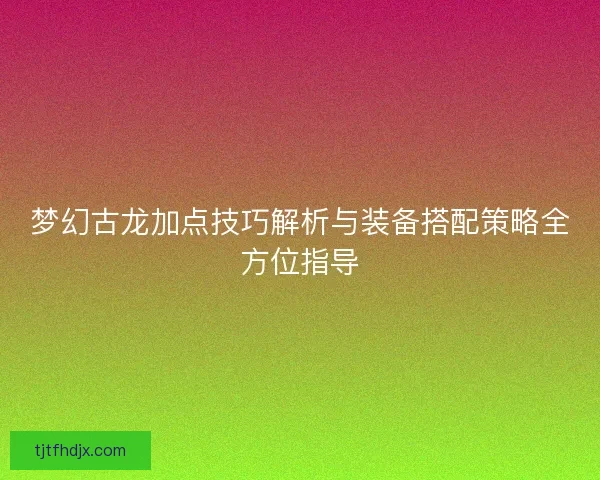 梦幻古龙加点技巧解析与装备搭配策略全方位指导
